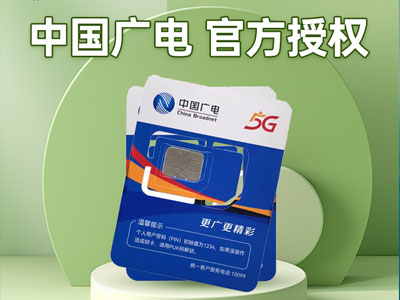 广电正龙卡29元享99G流量卡